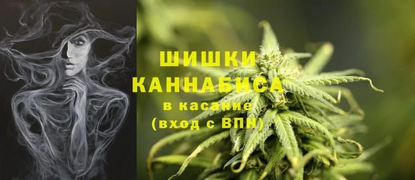 не бодяженный Нефтегорск