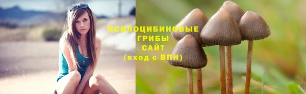 экстази Нея