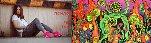 каннабис Новозыбков