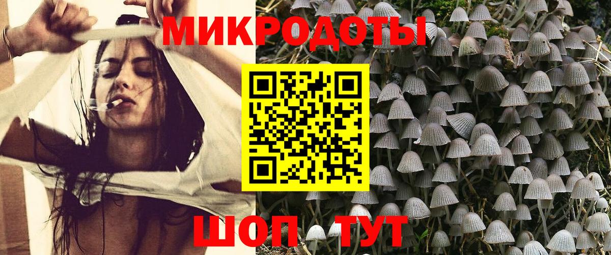 Псилоцибиновые грибы Psilocybine cubensis Курск