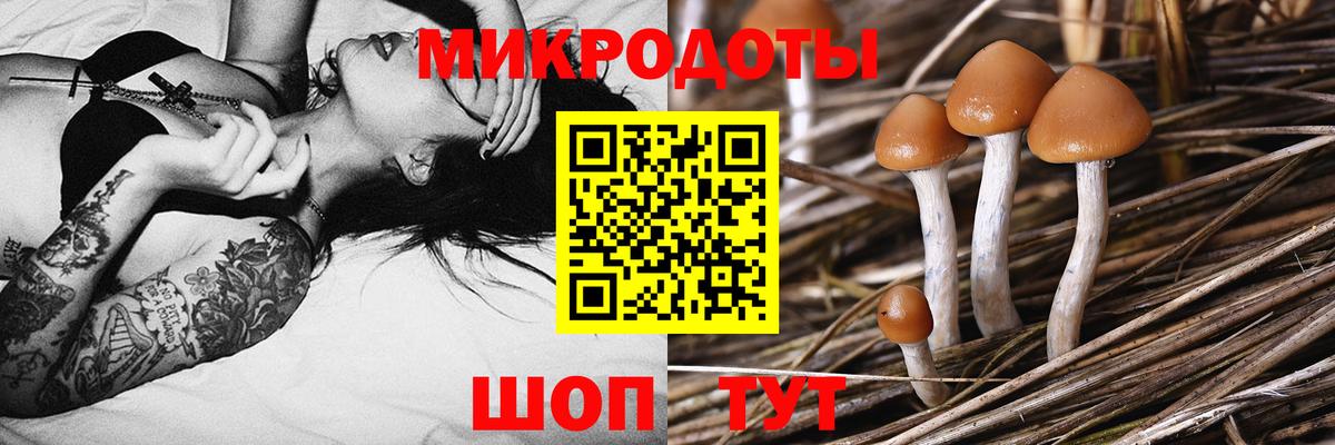 Курск  Галлюциногенные грибы MAGIC MUSHROOMS  Галлюциногенные грибы мицелий  Вход с VPN 