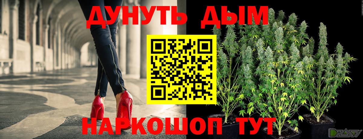 Шишки марихуана семена  Канабис White Widow  Марихуана семена  Курск  Каннабис VHQ 